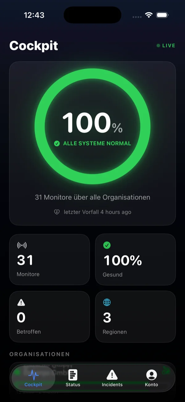 Datargo Monitor: iPhone App Cockpit mit grünem Ring-Indikator